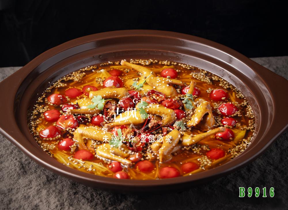 B9916椒麻沸腾秒龄鸽