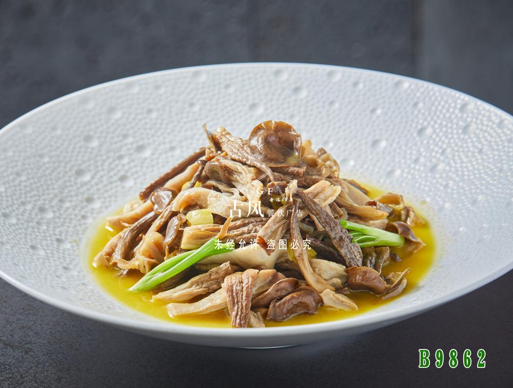 B9862鹿茸菌猪肚