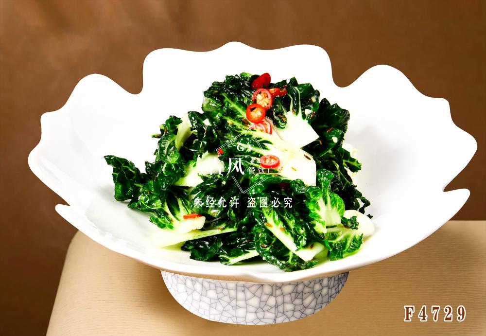 F4729孜然奶白菜