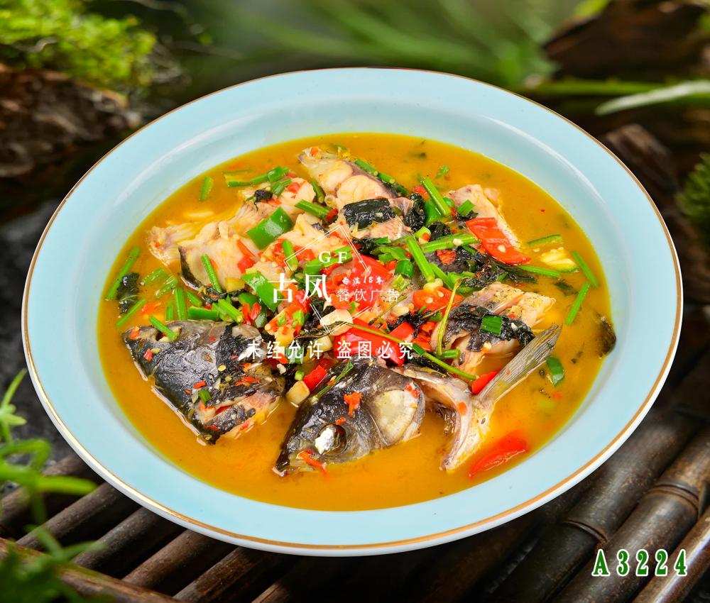 A3224开化清水鱼