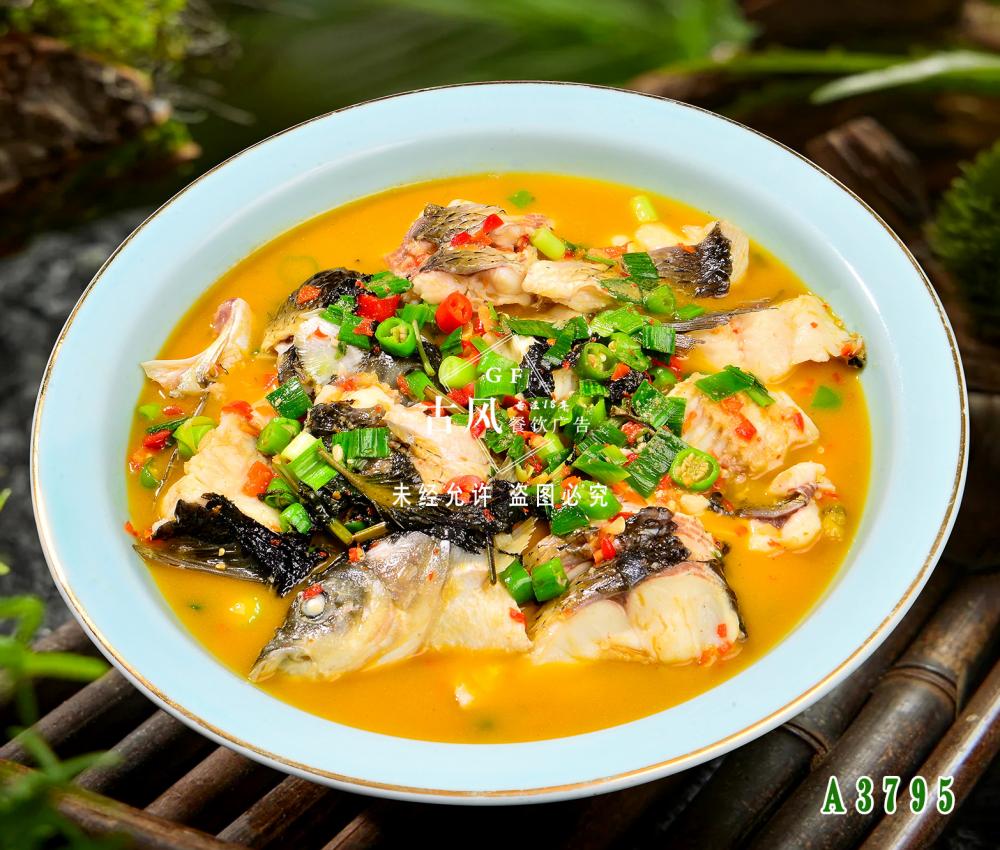 A3795开化清水鱼