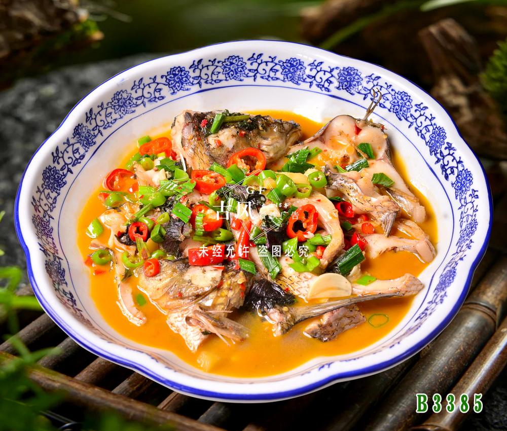 B3385开化清水鱼