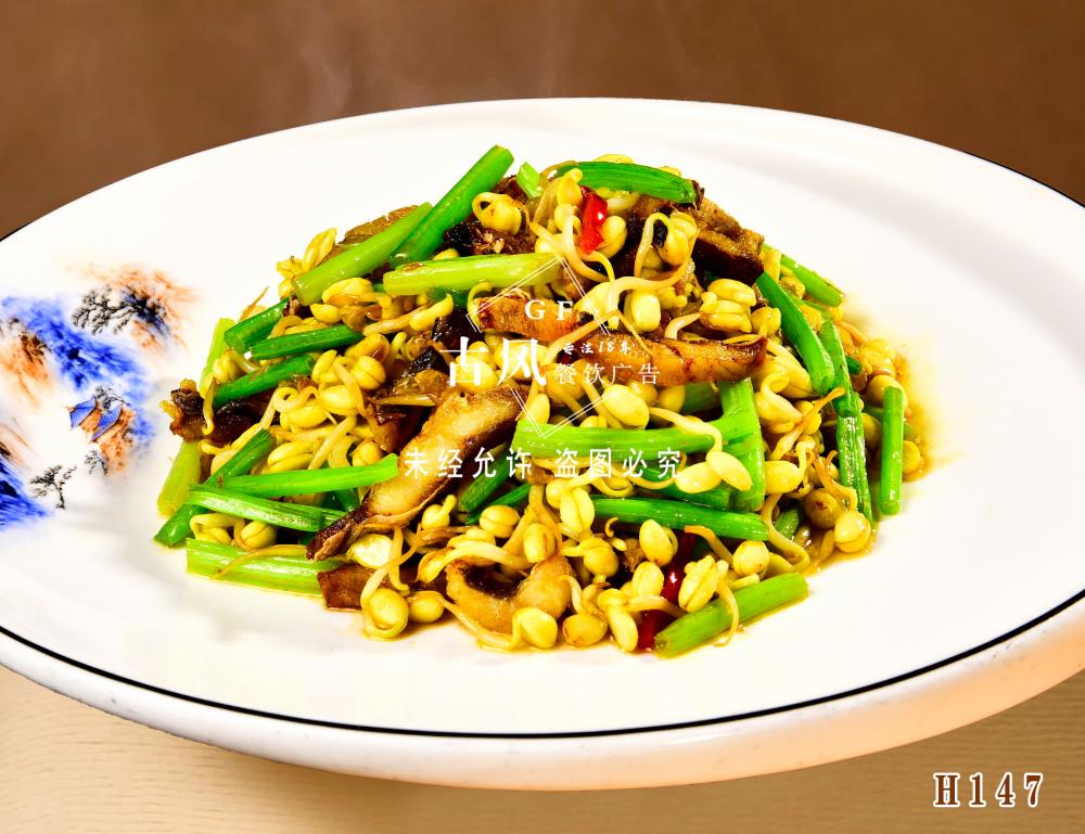 H147芹香沙鳗豆芽籽