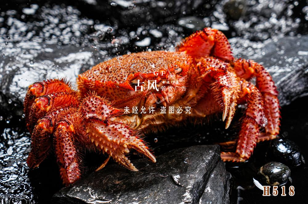 H518红毛蟹