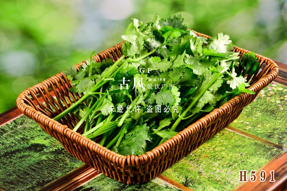 H591香菜