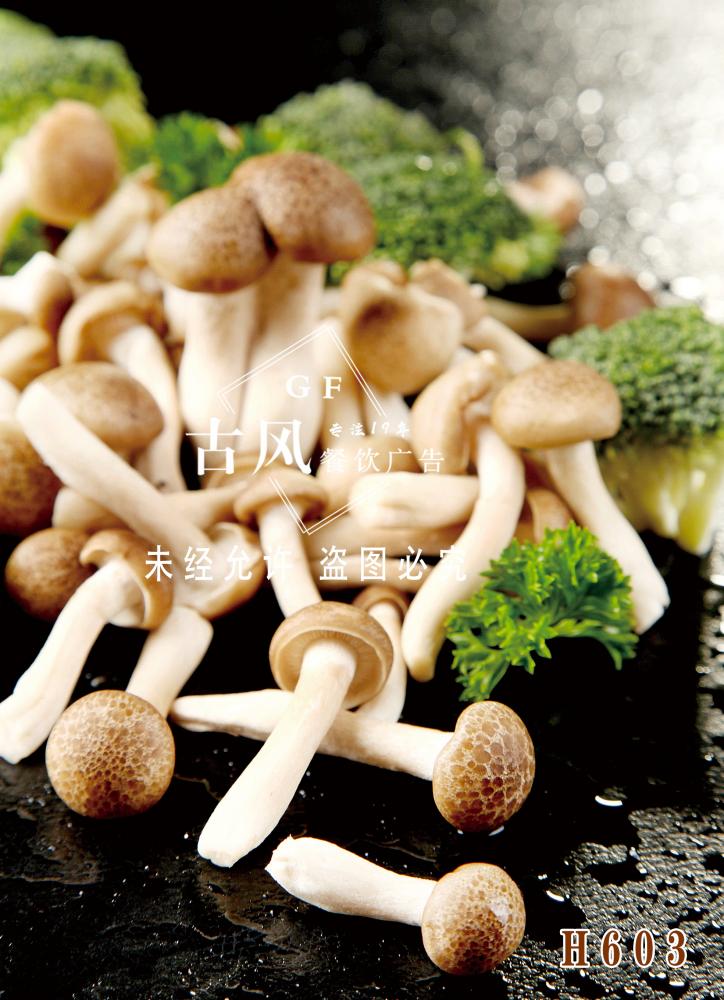 H603蟹味菇