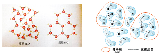 水分子在由液态变为固态的过程中,由氢键结合的水分小分子转化为特殊"