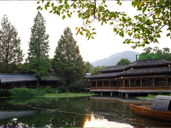 綠茶龍井店