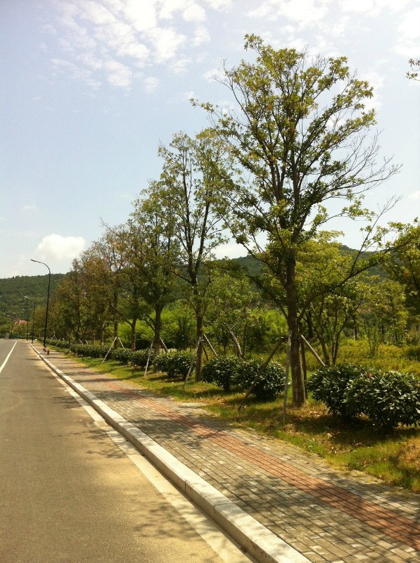 福建長汀秋白路