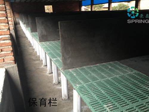 保育栏4