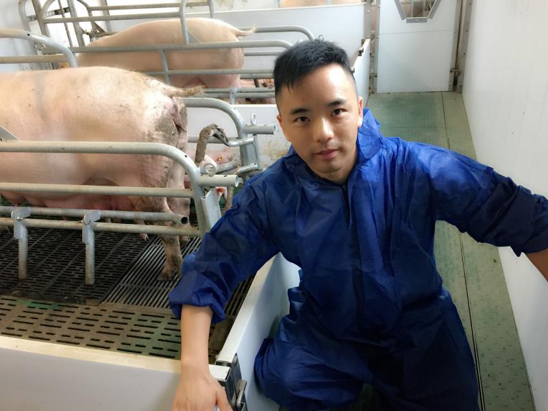 Vsiting Pig Farm In Europe