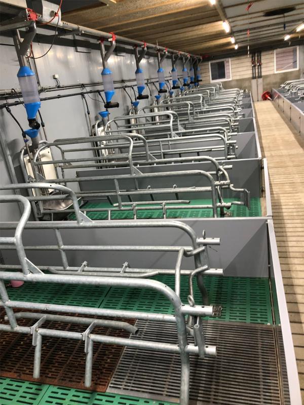 Farrowing Crates in Europe