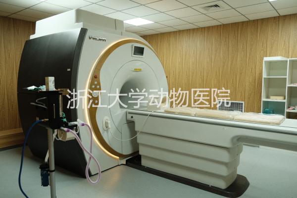 核磁