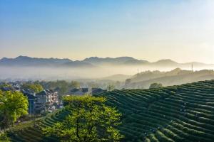 杭州龍塢茶鎮(zhèn)餐飲管理有限公司