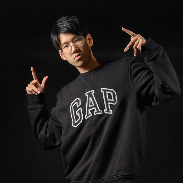 艺人介绍