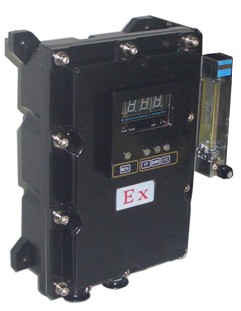 防爆在线微量氧分析仪LT-B型