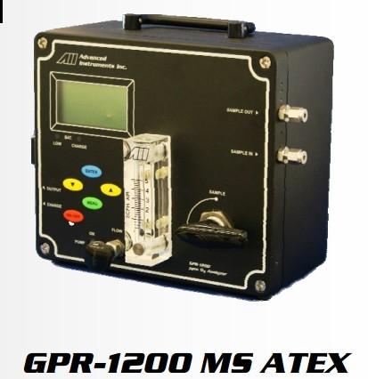微量氧分析仪GPR-1200MS
