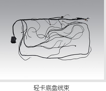 Chassis harness for light truck