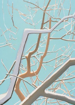 张晖《树之八》 96.5x132cm   2011年