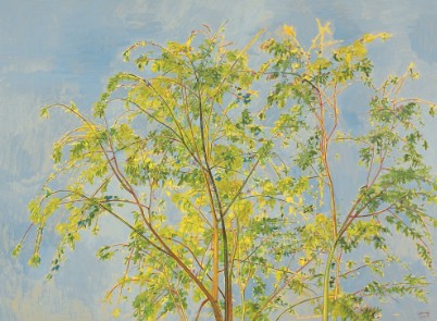 张晖《树之六》  132x96.5cm   2010年