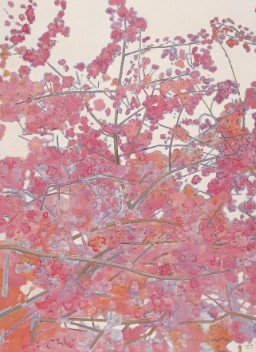 张晖《树之七（1）》   96.5x132cm   2011年