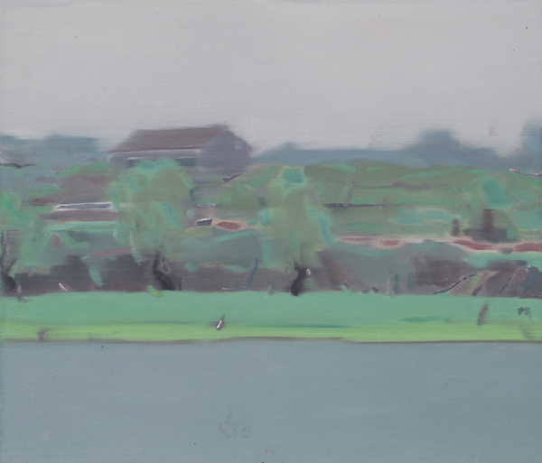 林涛《雾中西溪》 60x70cm  2013年