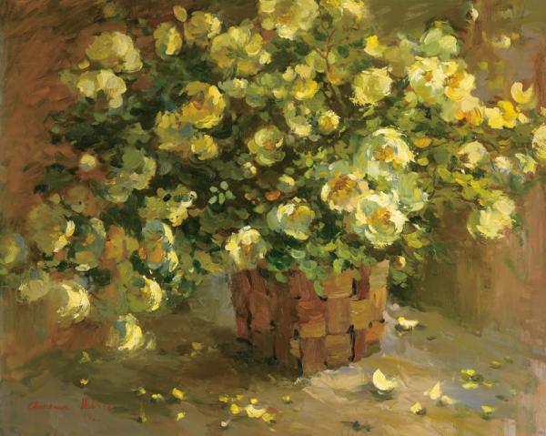 斯维特莱娜  黄玫瑰   80x100cm  布面油画  2014年