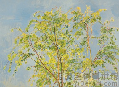张晖《树之六》  132x96.5cm   2010年