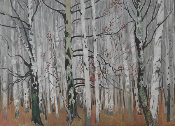 布里奥克 《桦树林》  52 X 71 cm     2009年