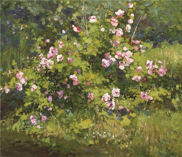 斯威特莱娜 蔷薇   60×70cm 2004年