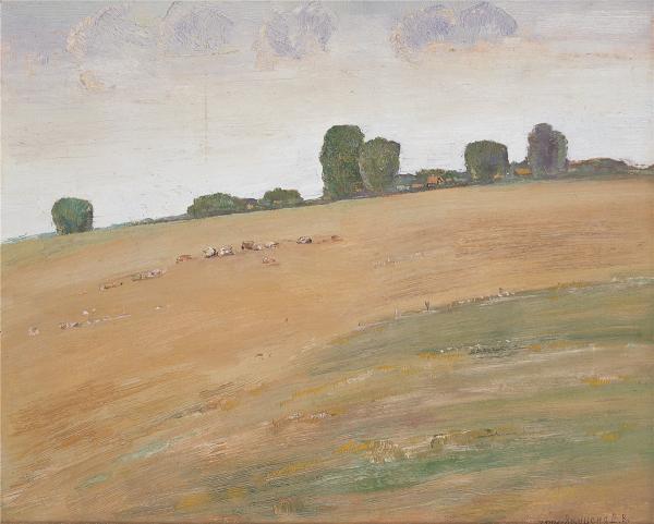 德米特里 远处的村庄 40x50cm 2006年副本