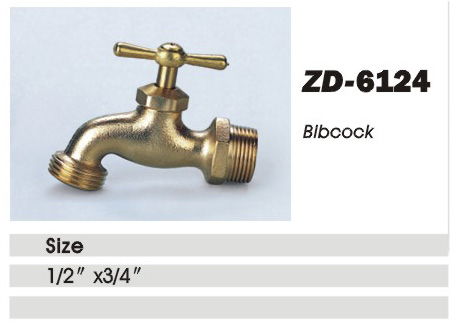 ZD-6124