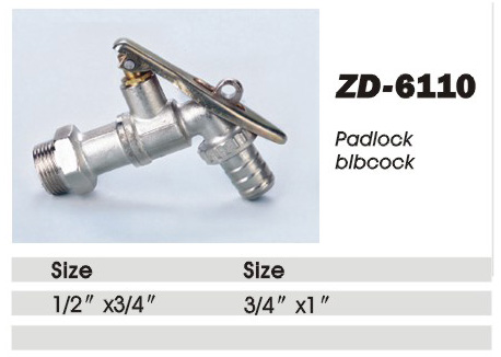 ZD-6110