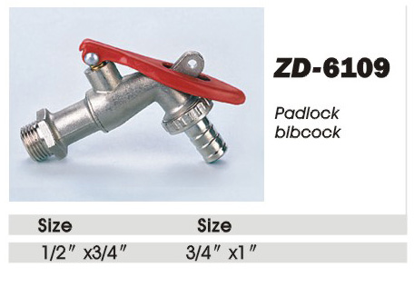 ZD-6109