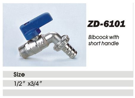 ZD-6101