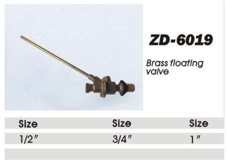 ZD-6019