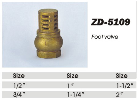 ZD-5109