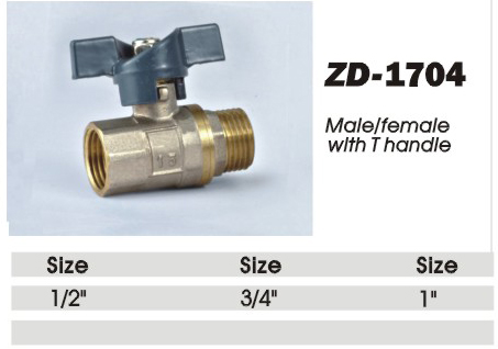ZD-1704