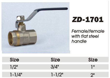 ZD-1701