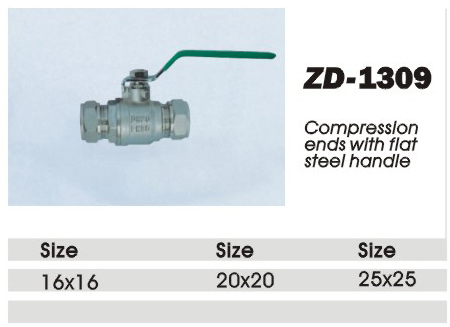 ZD-1309