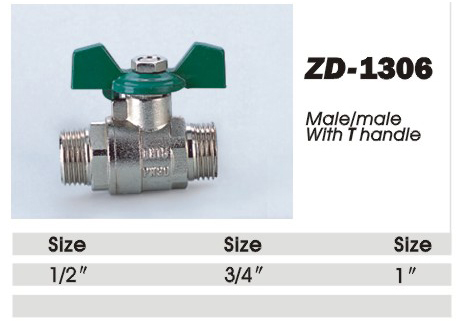 ZD-1306