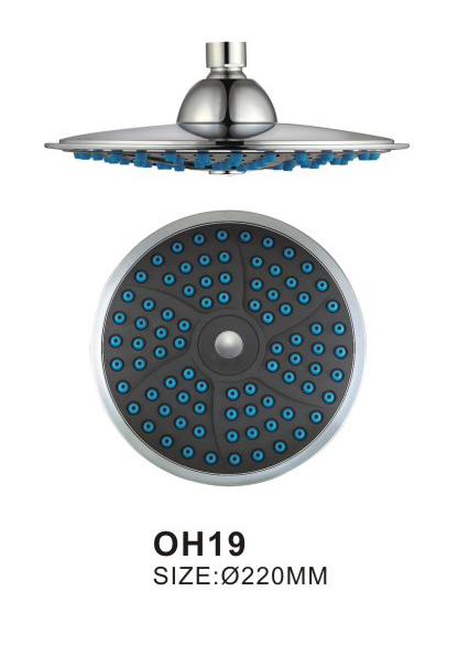 OH19