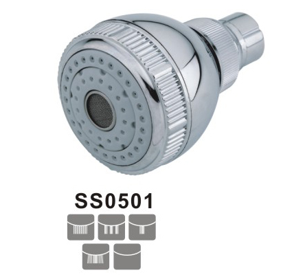 SS0501