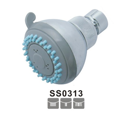 SS0313