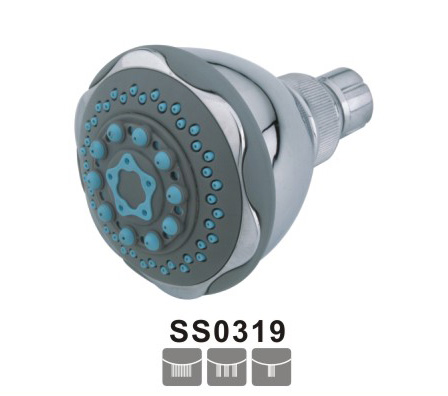 SS0319