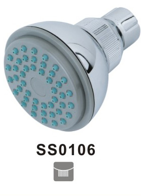 SS0106