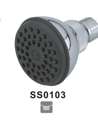 SS0103