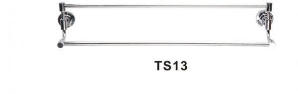 TS13