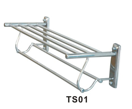 TS01