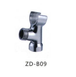 ZD-B09